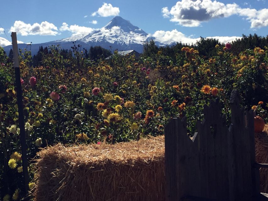 Portland: Mount Hood Wine and Waterfalls Full-Day Tour - Common questions