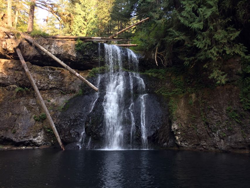 Portland: Silver Falls Hike and Wine Tour - Customer Reviews