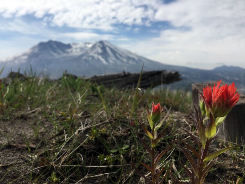 Portland: The Mt. St. Helens Adventure Tour - Additional Information