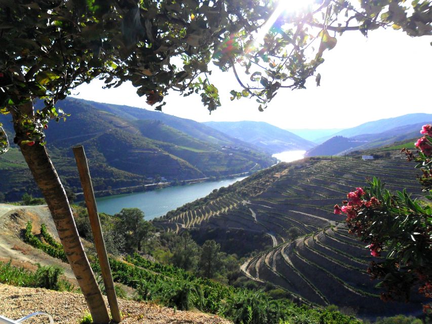 Porto: Authentic Private Douro Valley Tour - Tour Directions