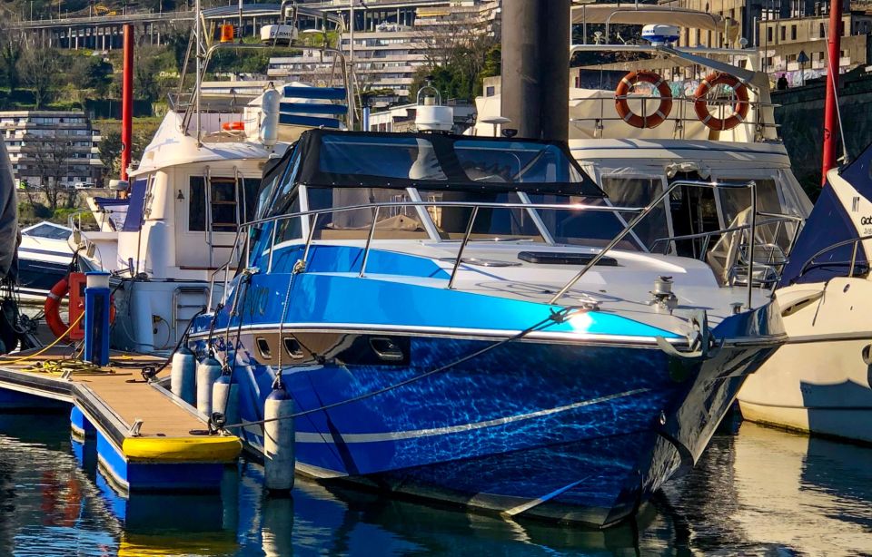 Porto: Douro River Private Small Group Boat Tour - Customer Reviews