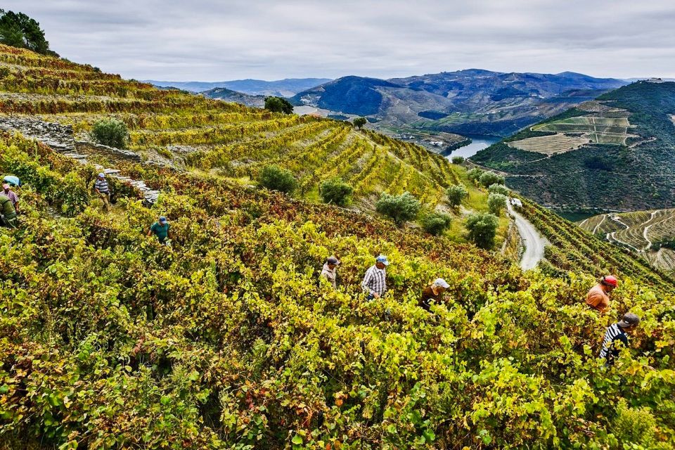 Porto: Douro Valley Tour With Wine Tasting, Lunch & Cruise - Directions for the Tour