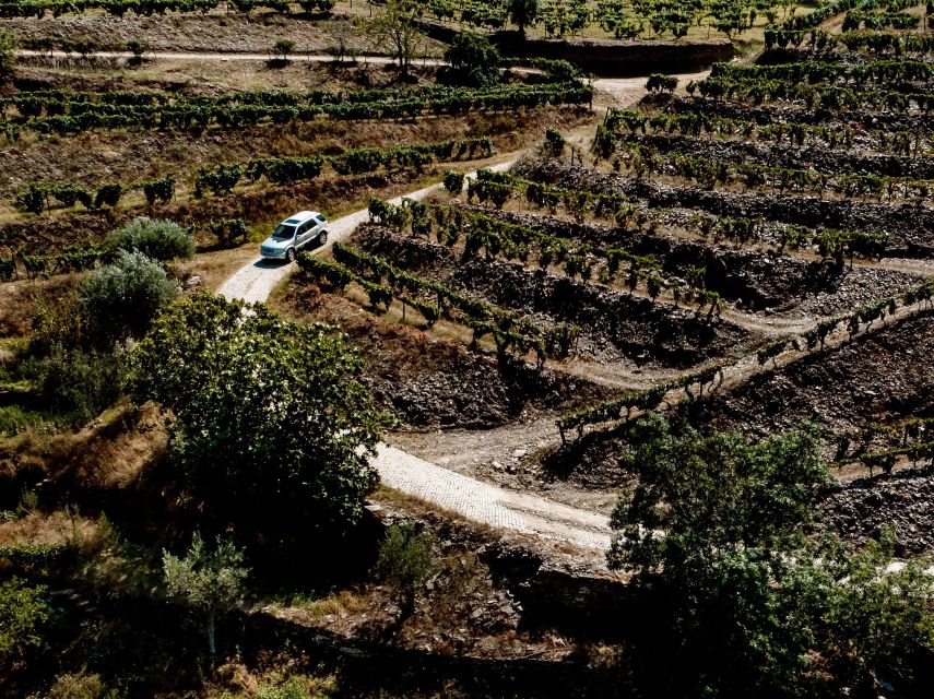 Porto: Private Douro Valley 4x4 Tour With Lunch - Helpful Tips