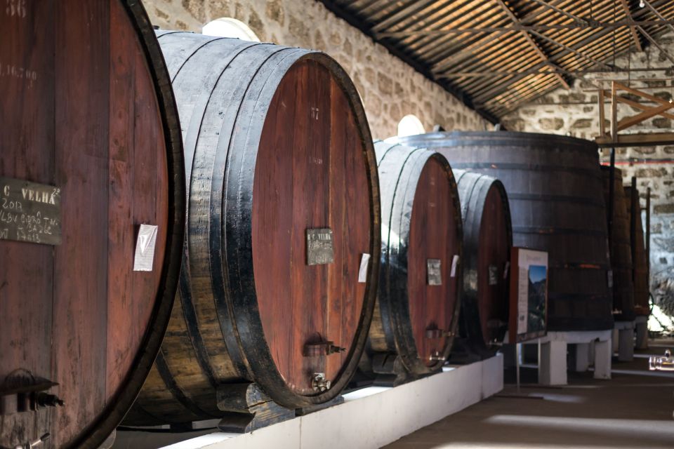 Porto: Wine Cellar Entry, Train Tour & Optional River Cruise - Booking and Contact Information