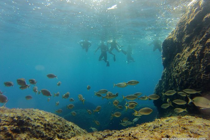 Portofino Kayak Tour - Common questions