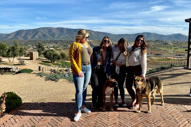 Premium Valle De Guadalupe Wine and Food Tour - Booking and Availability