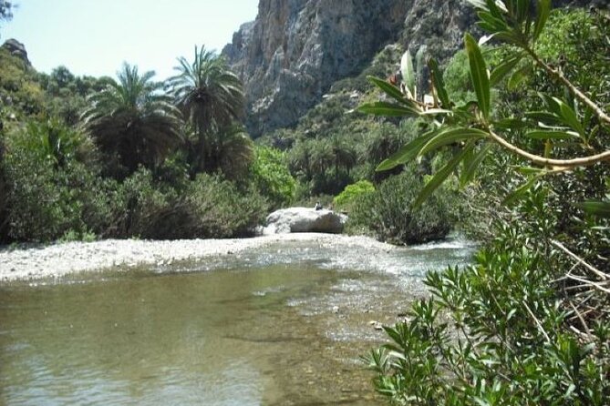 Preveli Palm Beach Tour From Rethymno - by Private Boat - Common questions