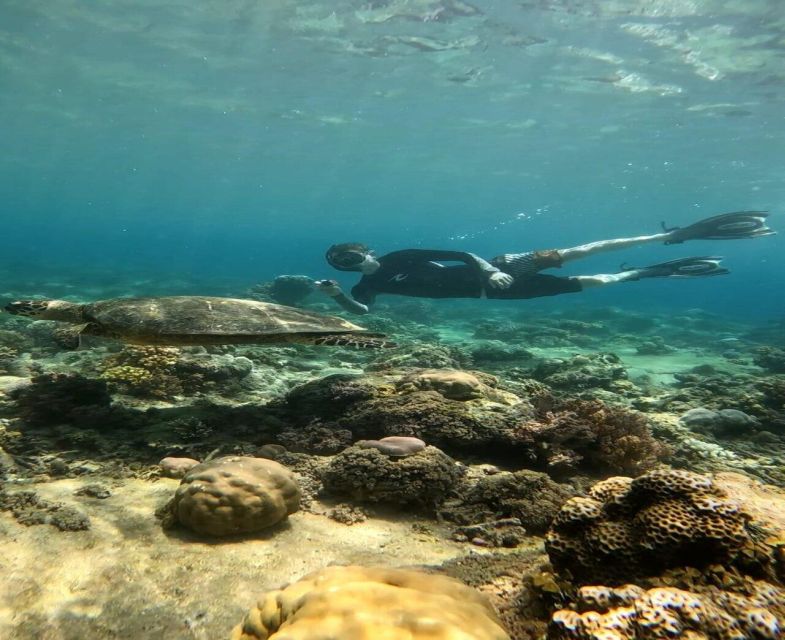 Privat Boat: Snorkelling Around the Gilis With Go Pro - Explore Gili Islands Underwater Beauty
