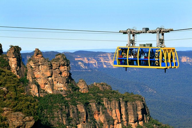 Private 1 Day Full Blue Mountains Tour Koalas Cruise Return - Traveler Experiences