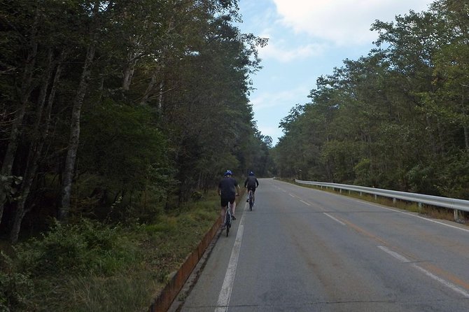 Private 3-Hour Biking Adventure: Descend Mount Fuji  - Fujikawaguchiko-machi - Private Group Tour Details