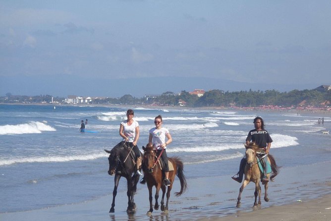 Private Bali Horse Riding In Seminyak Beach Limited Experiance - Negative Reviews