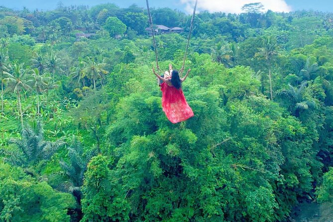 Private Bali Tour of Ubud Swing and Ulun Danu Beratan Temple - Last Words