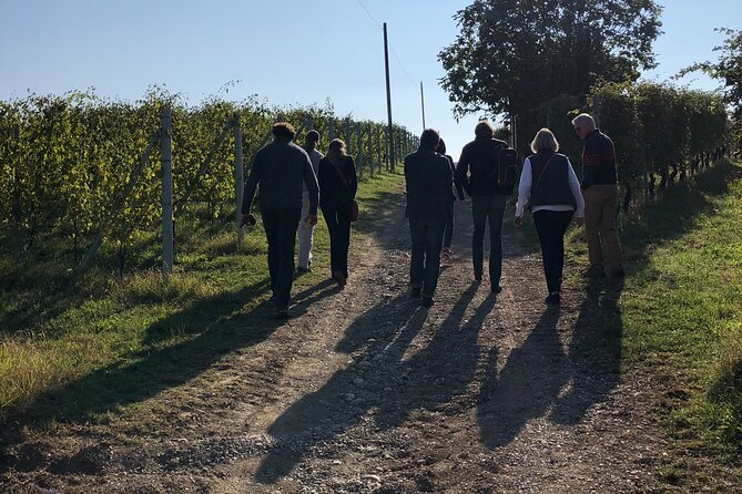 Private Barolo / Barbaresco - Piedmont Wine Tours and Tastings - Last Words