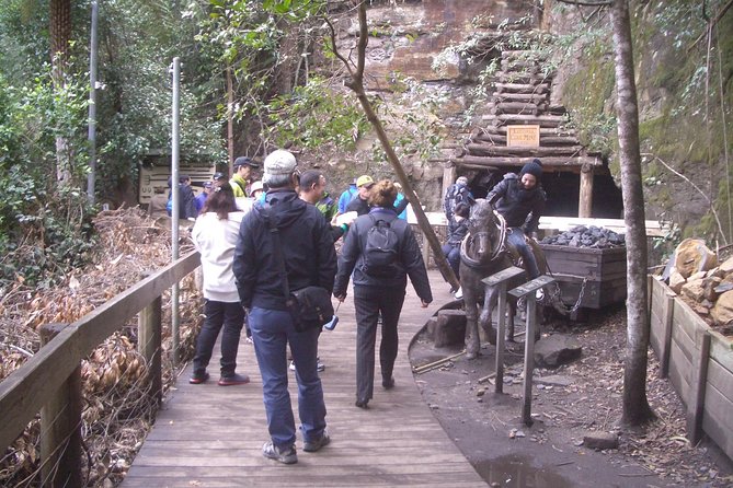 PRIVATE Blue Mountains Tour With Expert Guide - Customer Support