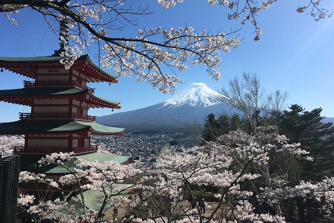 Private Car Tour to Mt. Fuji Lake Kawaguchiko or Hakone Lake Ashi - Transparent Pricing and Booking