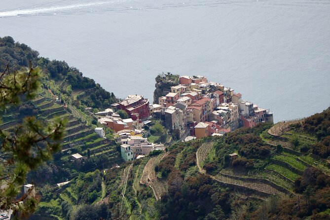 Private Cinque Terre Trekking Tours - Immersive Experiences