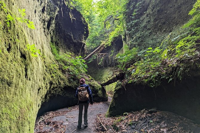 Private Day Trip of Lake Shikotsu and Moss Canyon - Last Words