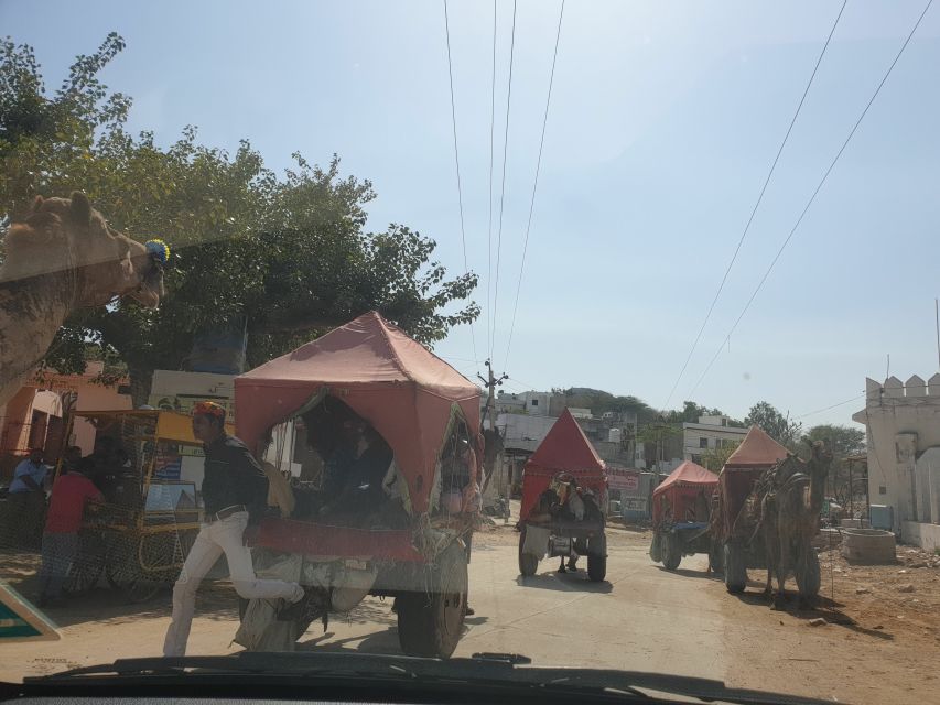 Private Day Trip to Pushkar From Jaipur - Return Drop-off to Hotel