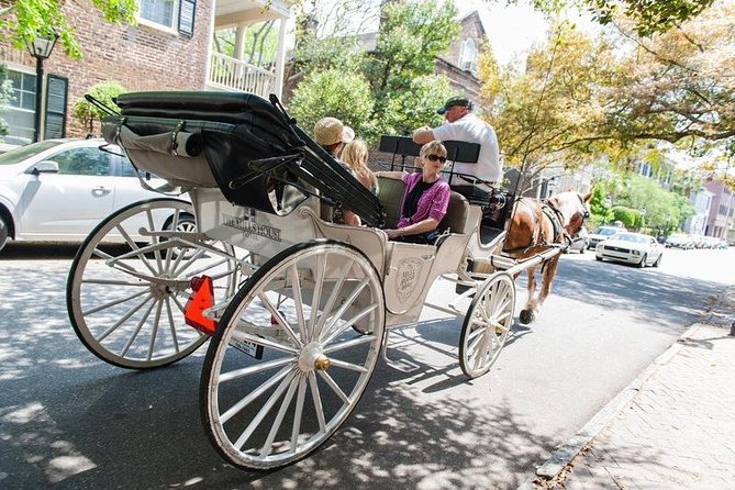 Private Daytime or Evening Horse-Drawn Carriage Tour of Historic Charleston - Guide Interactions and Feedback