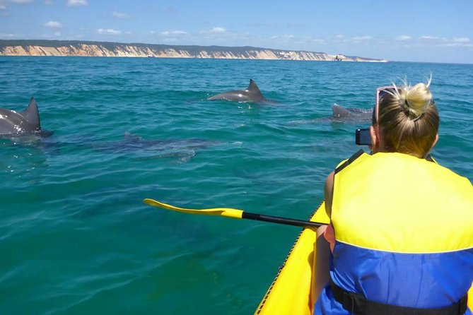 Private Double Island Wildlife Tour - Noosa - Contact and Support