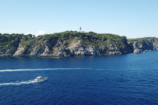 Private Full-Day Boat Trip to Porquerolles - Additional Traveler Resources