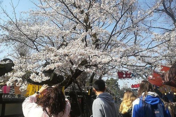Private Full-Day Cherry-Blossom Tour of Tokyo With Tsukiji - Additional Information