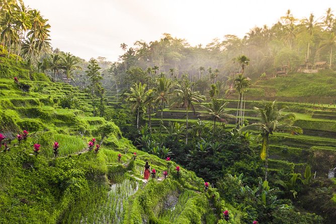 Private Full-Day Tour: Balinese Temples and Rice Terraces - Booking Information