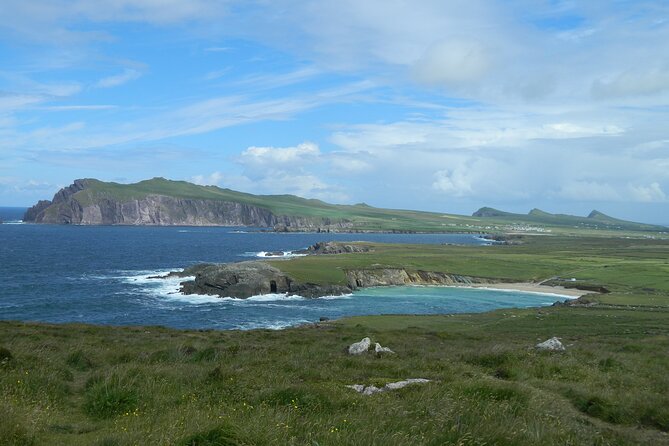 Private Full-Day Tour to Dingle and Slea Head - Viators Travelers Feedback