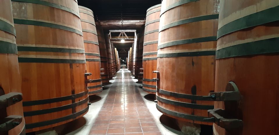 Private Full-Day Wine Tasting Tour in Colchagua Valley - Common questions