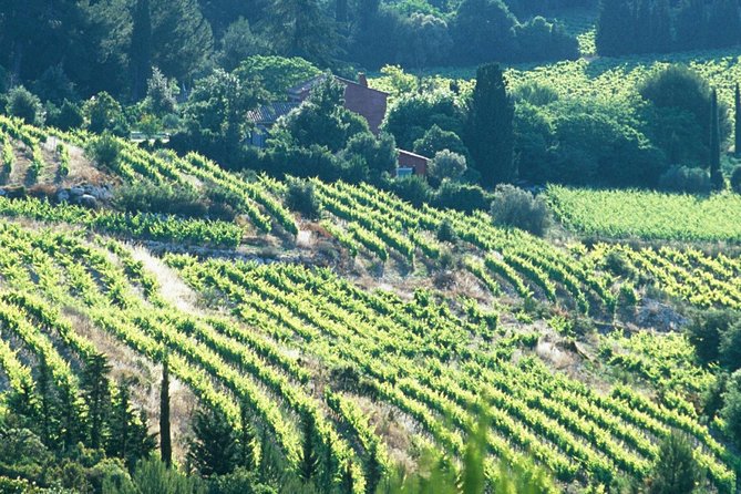 Private Full Day Wine Tour in Provence - Common questions