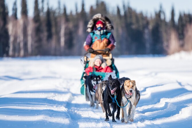 Private Guided Chena River Mush Dream Vacation in Fairbanks - Cancellation Policy