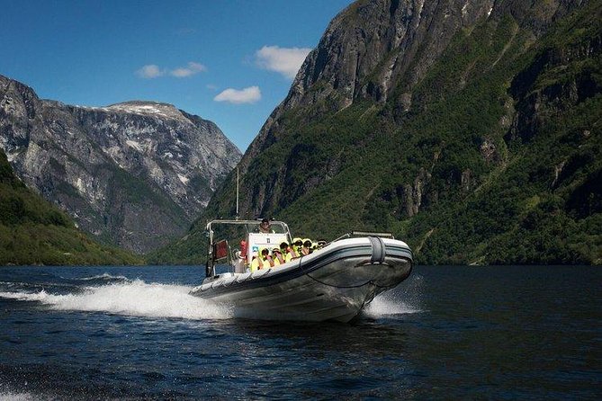 Private Guided Day Tour - RIB Sognefjord Safari and Flåm Railway - Common questions