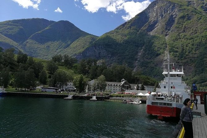 Private Guided Tour - Premium Nærøyfjord Cruise and Flåm Railway - Last Words