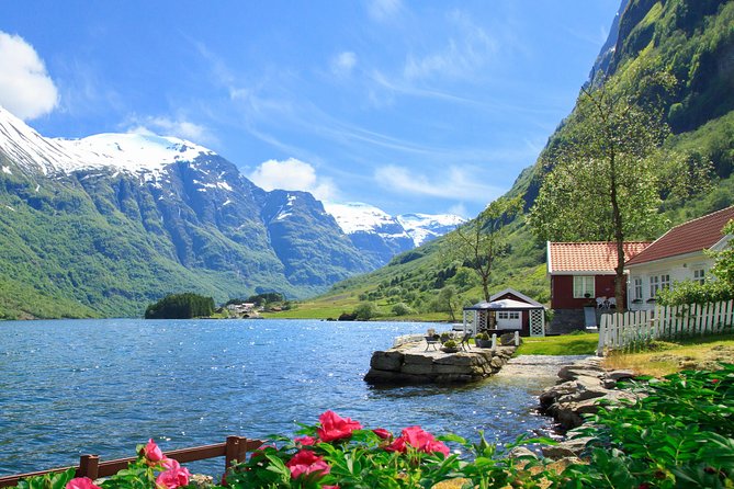 Private Guided Tour to Oslo - Nærøyfjord Cruise and Flåm Railway - Additional Resources