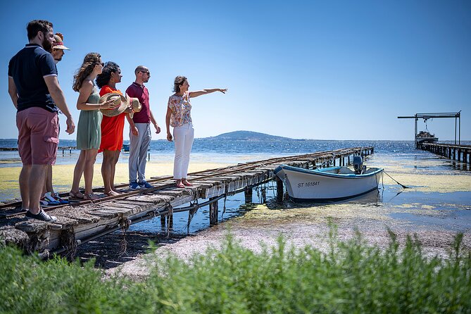Private Half-Day Languedoc Wine and Oyster Tour From Sète - Last Words
