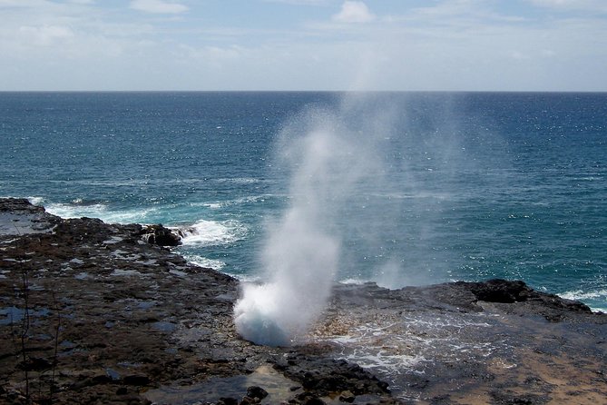 Private Luxury Tour of Kauai: South & West Shores - Notable Experiences Shared