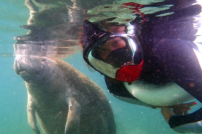 Private OG Manatee Snorkel Tour With Guide for up to 10 People - Common questions