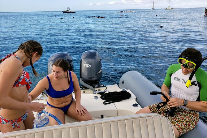 Private Snorkeling and Wildlife on The Adventure Boat - Pricing and Availability