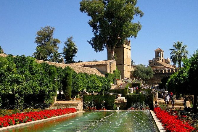 Private Tour: Cordoba Day Trip From Granada - Last Words