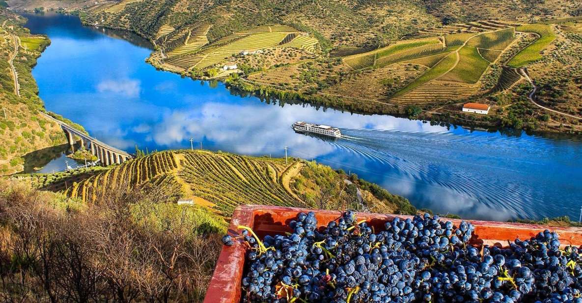 Private Tour: Douro Valley Wine and Food From Oporto - Common questions