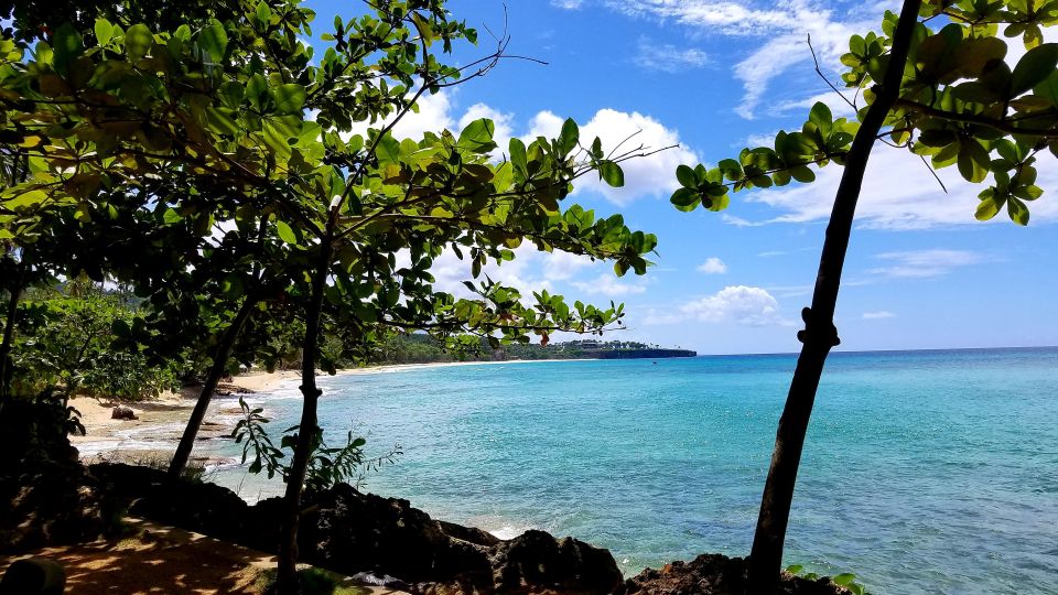 Private Tour: Dudu Cenotes Playa Grande Beach Much More - Common questions