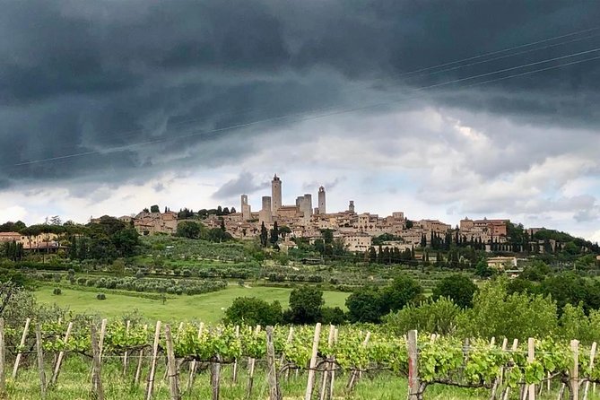 Private Tour in Siena, San Gimignano and Chianti Day Trip From Florence - Last Words