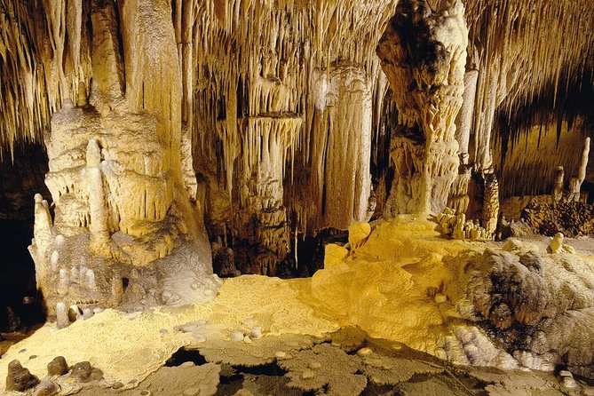 Private Tour: Mallorca Caves of Drach and Majorica Pearl Factory - Common questions