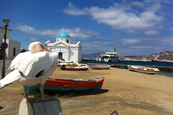 Private Tour: Mykonos Island in Half a Day - Itinerary Overview