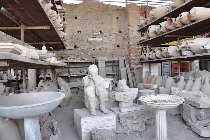 Private Tour of Pompeii, Sorrento and Positano From Naples - Host Responses and Acknowledgments