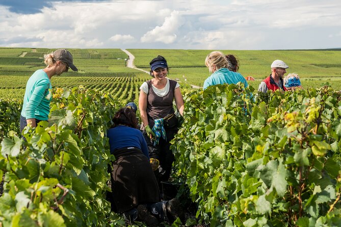 Private Tour of the Champagne Area, Meet Local Producers and Taste Their Champagne, Start From Your - Additional Resources and Help Center