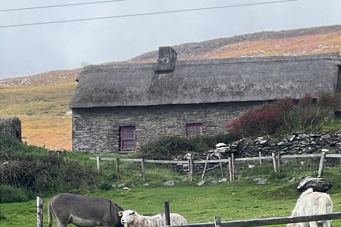 Private Tour. Ring of Kerry From Cork - Common questions