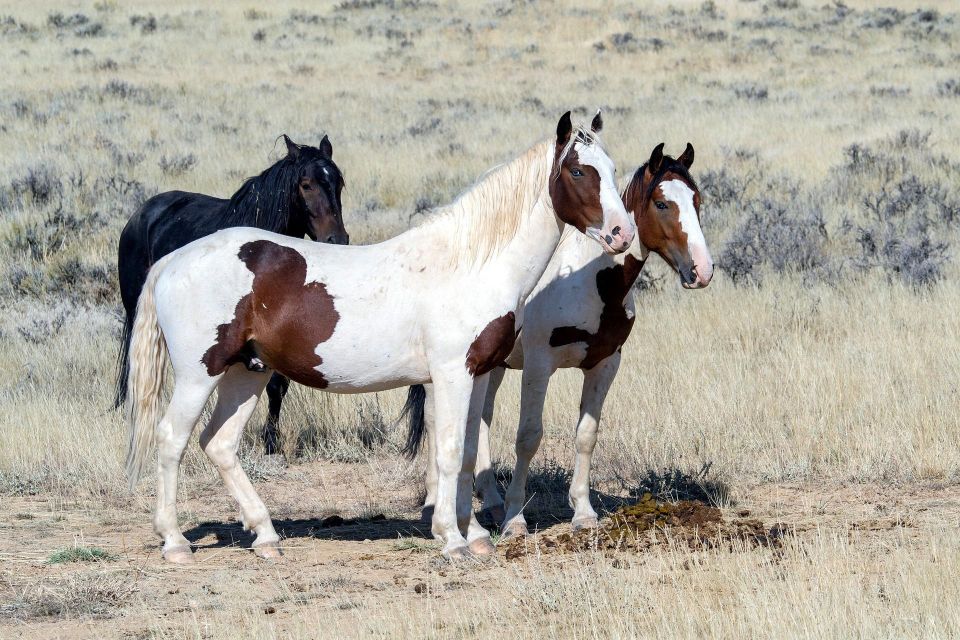 Private Tour to Antelope Canyon X and Horseshoes Bend - Cancellation Policy