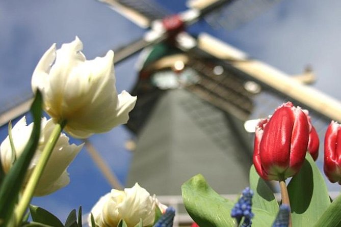 Private Tour to Keukenhof Gardens With Guide - Full Day Tour From Amsterdam - Common questions