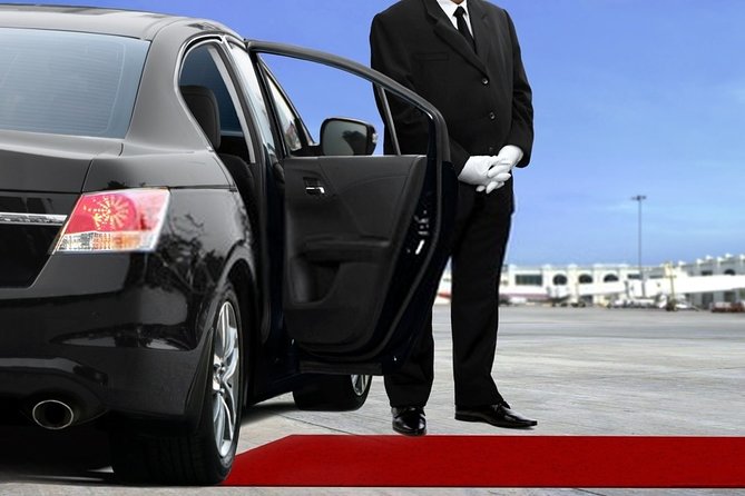 Private Transfer From Amsterdam Airport Schiphol to the Hague - Refund Terms